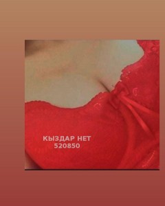 Проститутка Алматы Девушка№520850 Видео звонок вирт Фотография №3972280